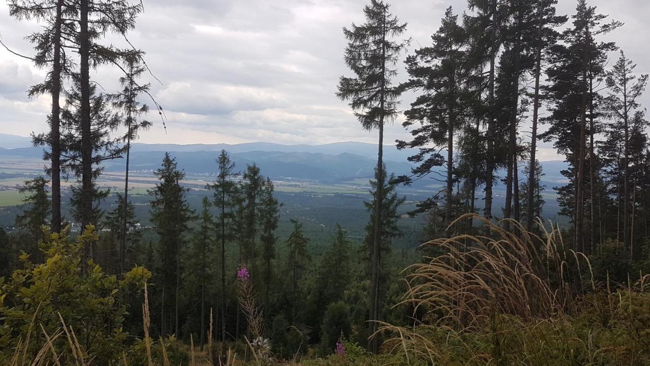 Apartman Beata - Tatragolf Vel'ka Lomnica Buitenkant foto